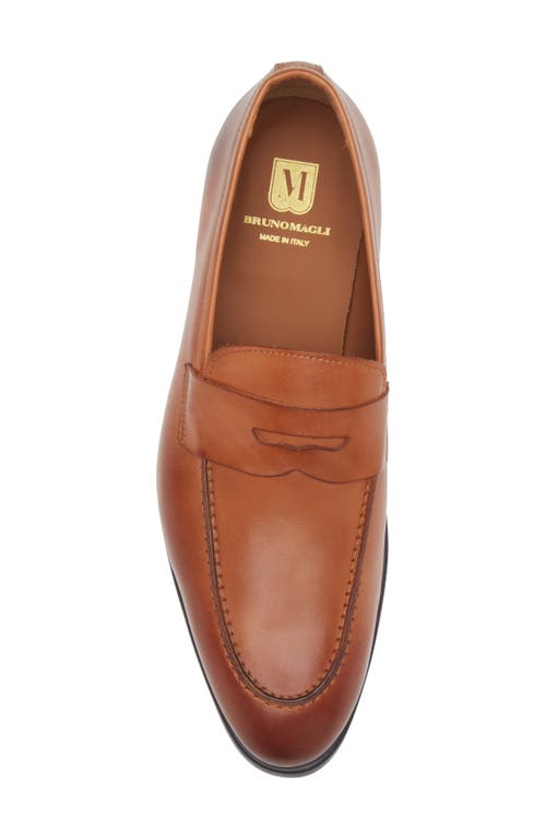 Bruno Magli Ricci Penny Loafer In Cognac