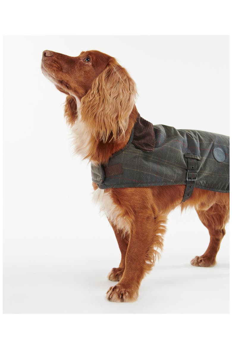 Waxed Cotton Dog Coat, Alternate, color, CLASSIC TARTAN