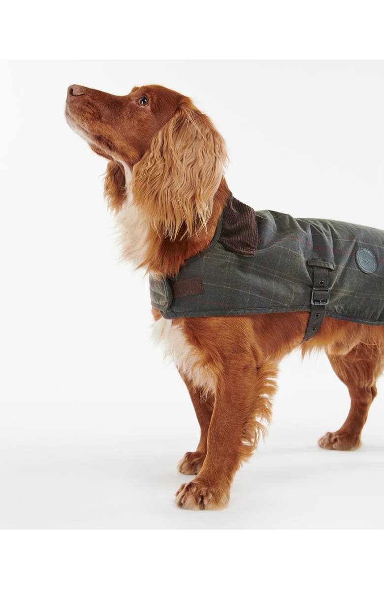 Barbour Waxed Cotton Dog Coat, Alternate, color, Classic Tartan