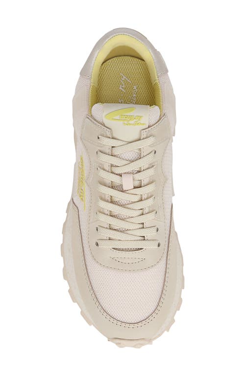 Circus Ny By Sam Edelman Devyn Sneaker In Cream/multi