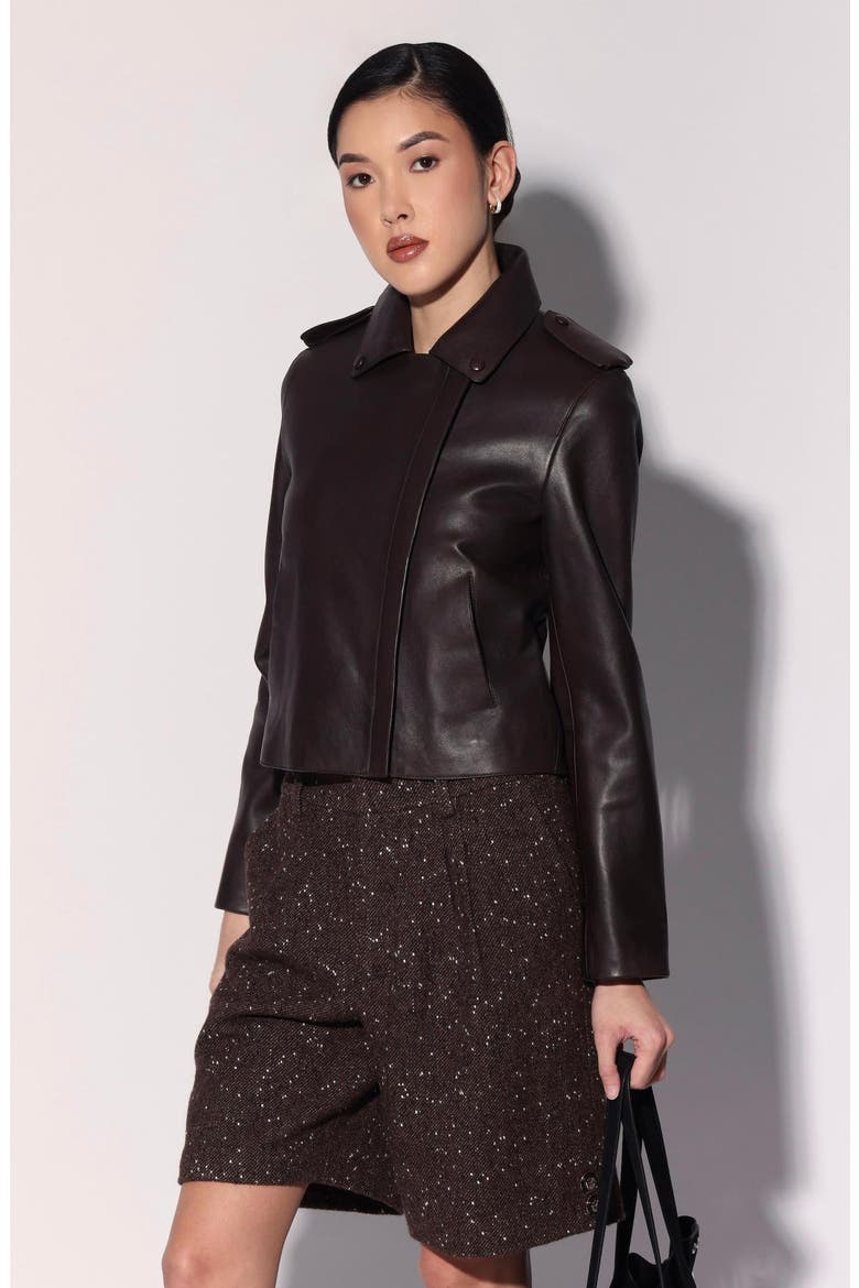 Trevor Leather Jacket, Main, color, Mocha