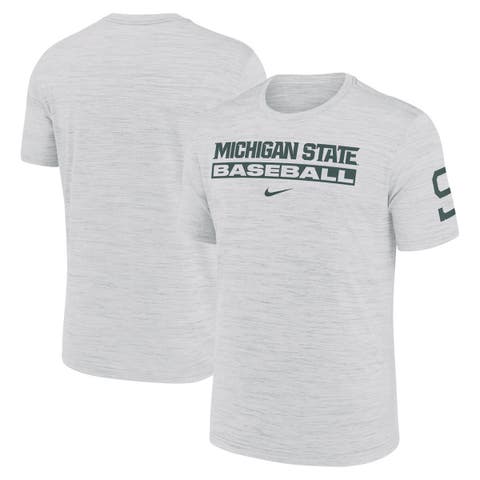 Men's Nike Ash Michigan State Spartans Velocity Baseball Wordmark Stack Performance T-Shirt