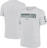 Nike Men's Nike Ash Michigan State Spartans Velocity Baseball Wordmark Stack Performance T-Shirt