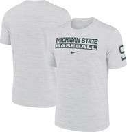 Nike Men's Nike Ash Michigan State Spartans Velocity Baseball Wordmark Stack Performance T-Shirt