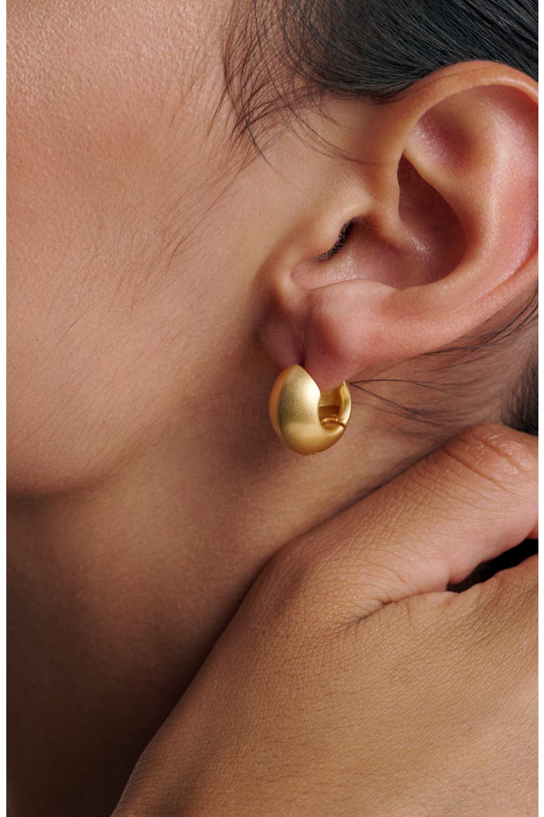 Posie Polished Contour Hinged Huggie Earrings, Alternate, color, GOLD TONE