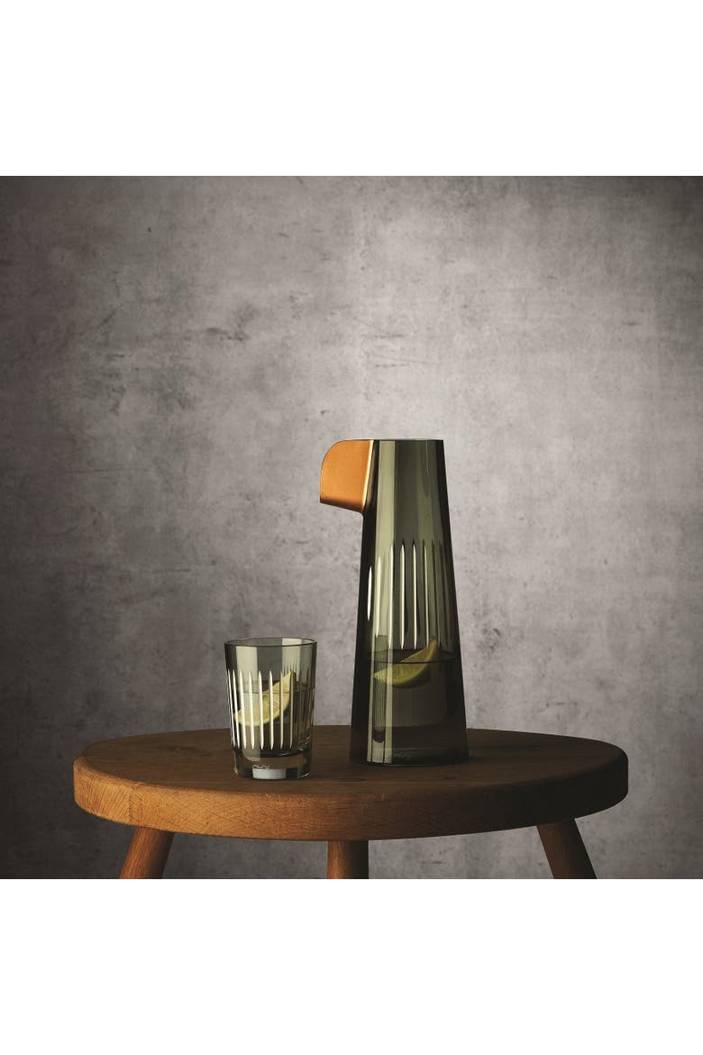 Parrot Carafe and 2 Tumblers Gift Set, Alternate, color, Smoke