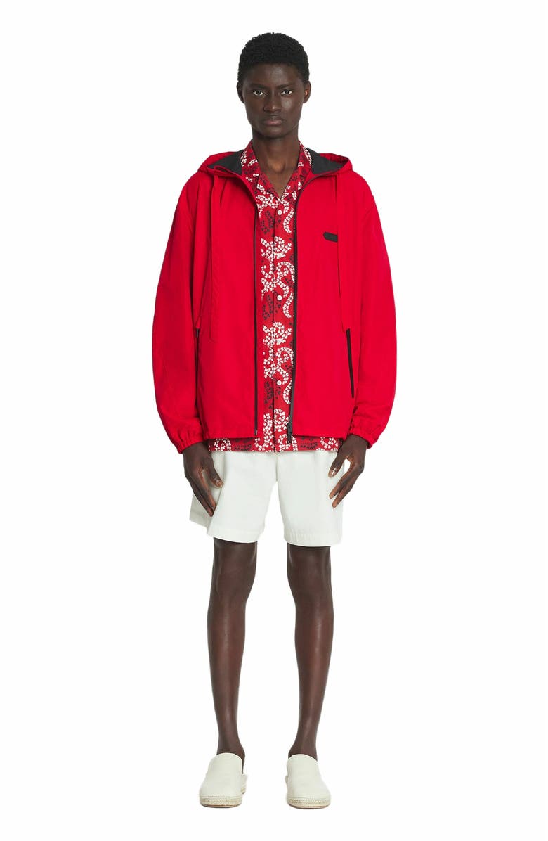 Lanvin Printed Cotton Shorts, Main, color, 