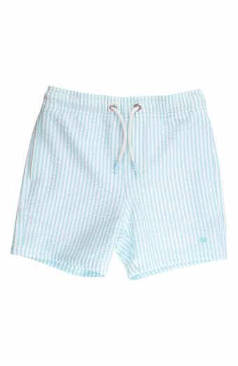 Kids' Blue Breeze Seersucker Swim Trunks