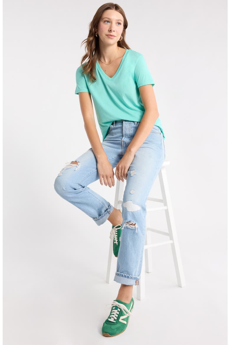 V-Neck Cotton T-Shirt, Alternate, color, TEAL RIPPLE