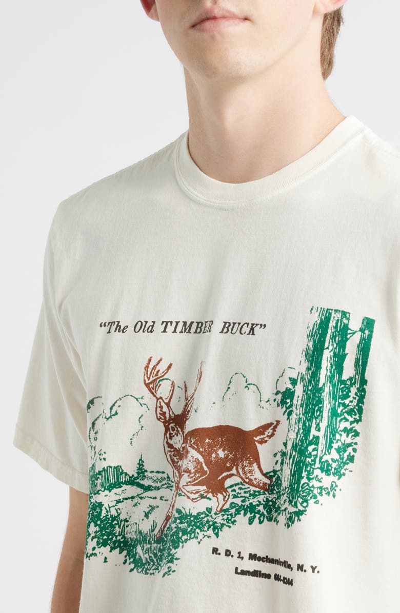 ONE OF THESE DAYS Old Timber Buck Graphic T-Shirt, Alternate, color, Bone