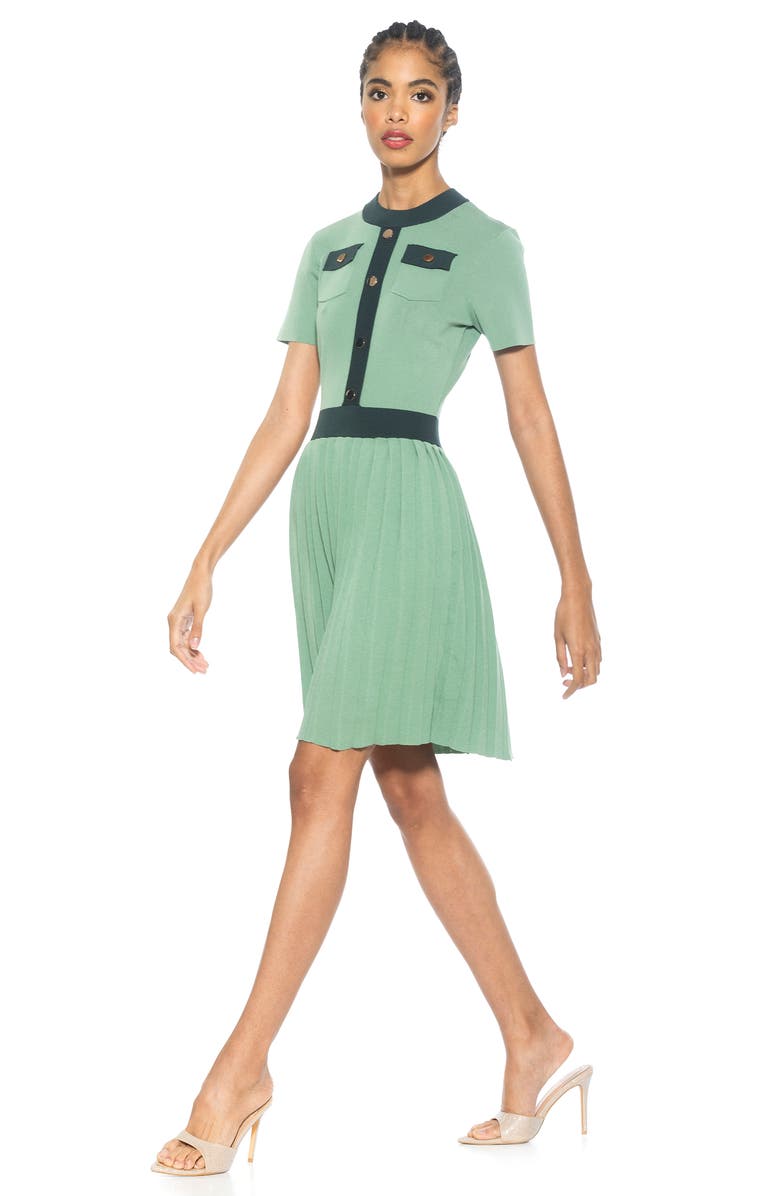 Alexia Admor Anders Short Sleeve Pleated Fit & Flare Dress, Alternate, color, 