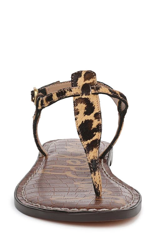 Sam Edelman Gigi Sandal In Cyprus Tan Multi