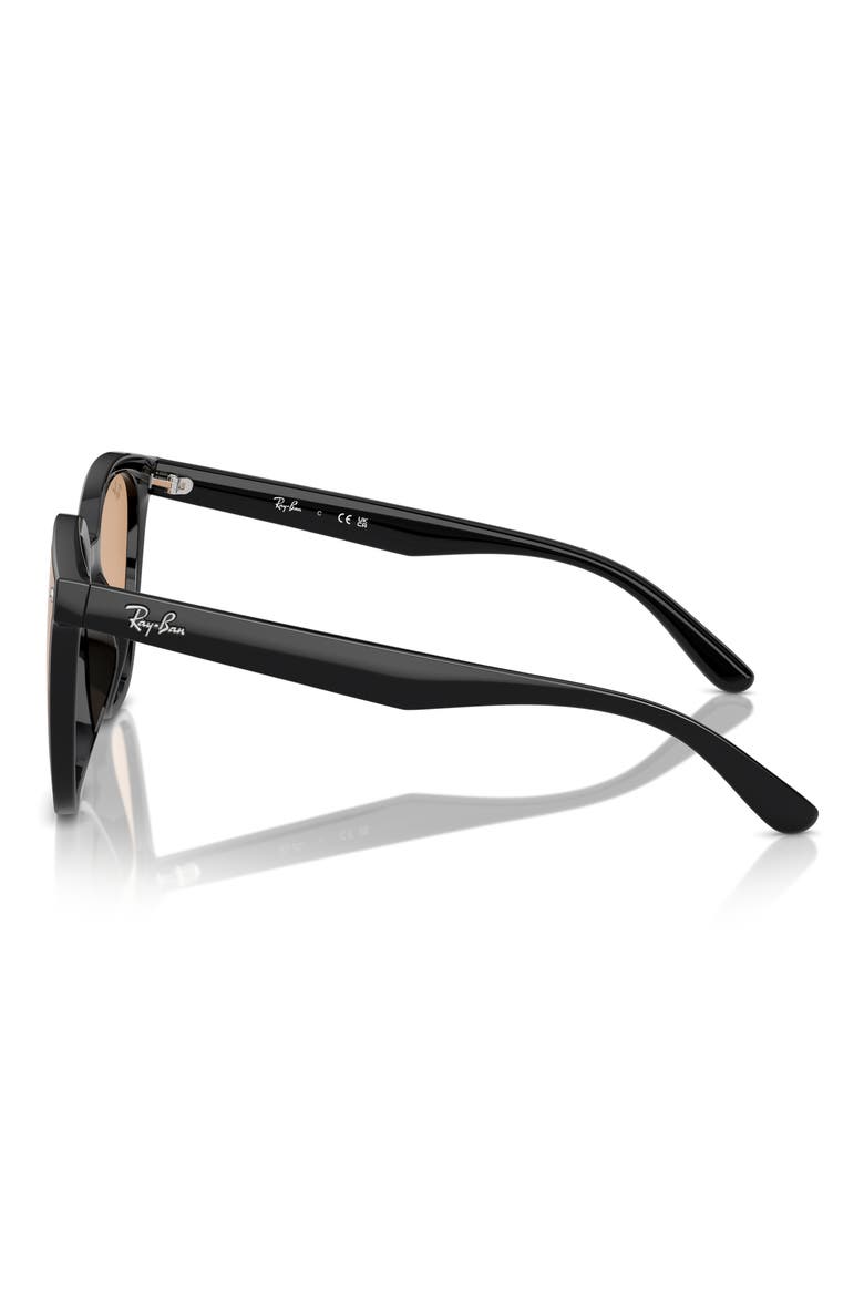 66mm Oversize Irregular Sunglasses, Alternate, color, BLACK/ BROWN