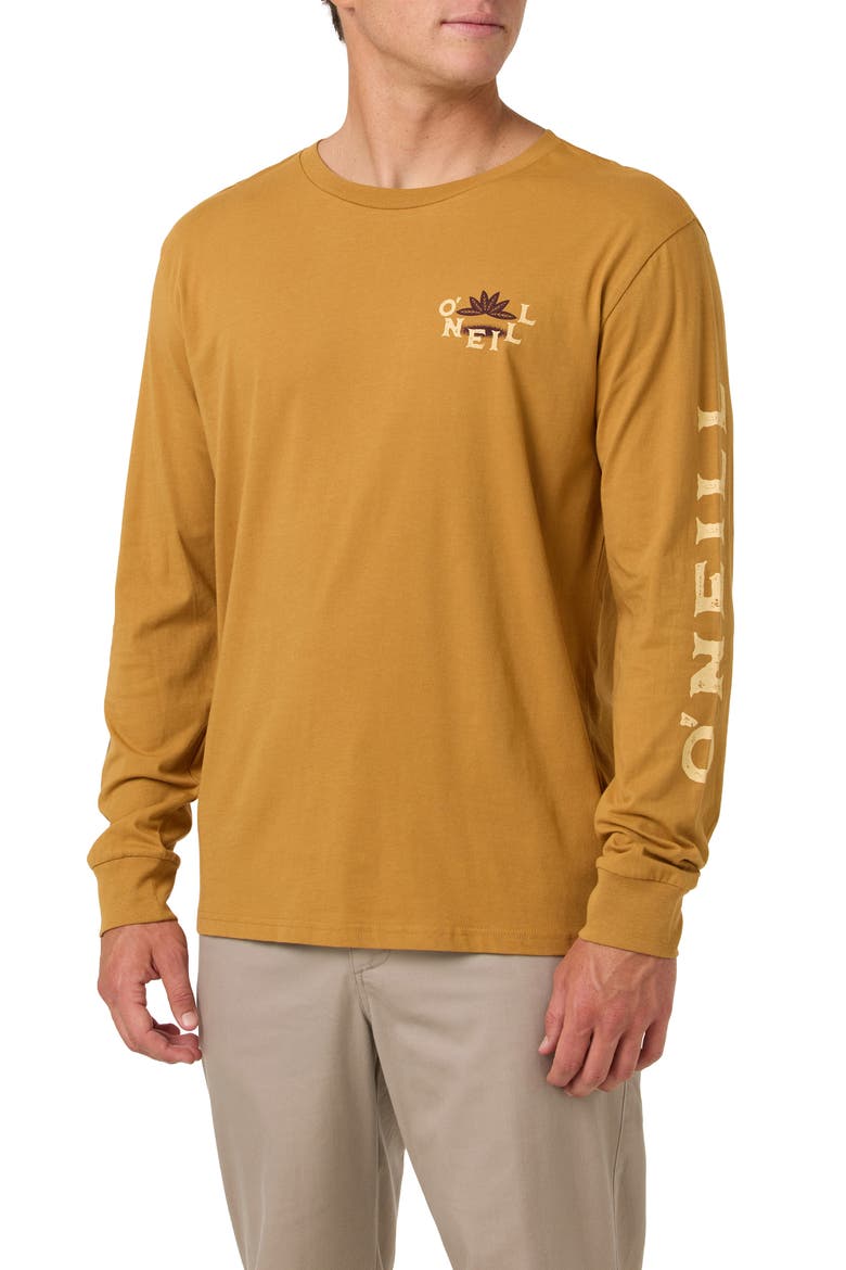El Calafate Long Sleeve Cotton Graphic T-Shirt, Alternate, color, BONE BROWN