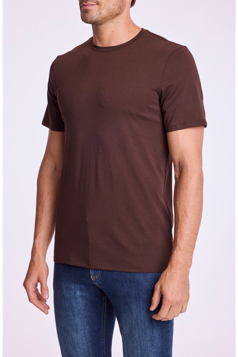Lucas Crewneck T-Shirt, Alternate, color, DARK BROWN