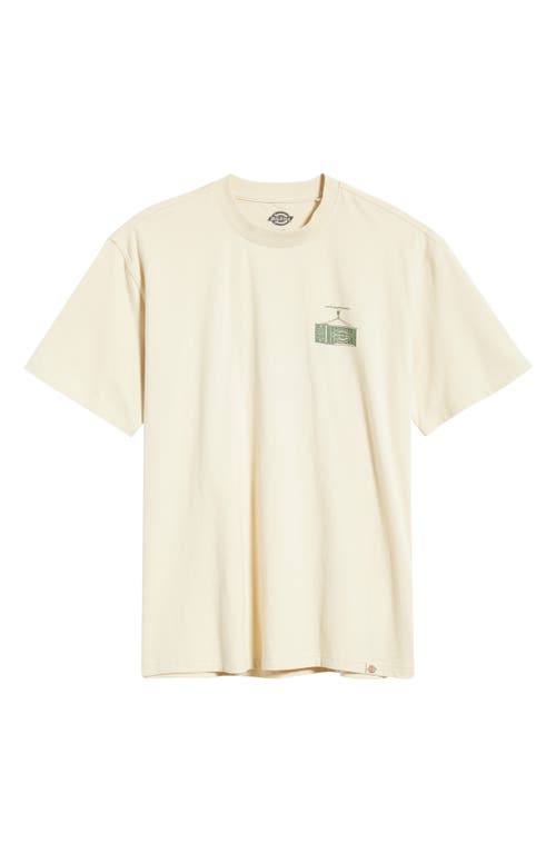 Dickies Apison Cotton Graphic T-shirt In Neutral