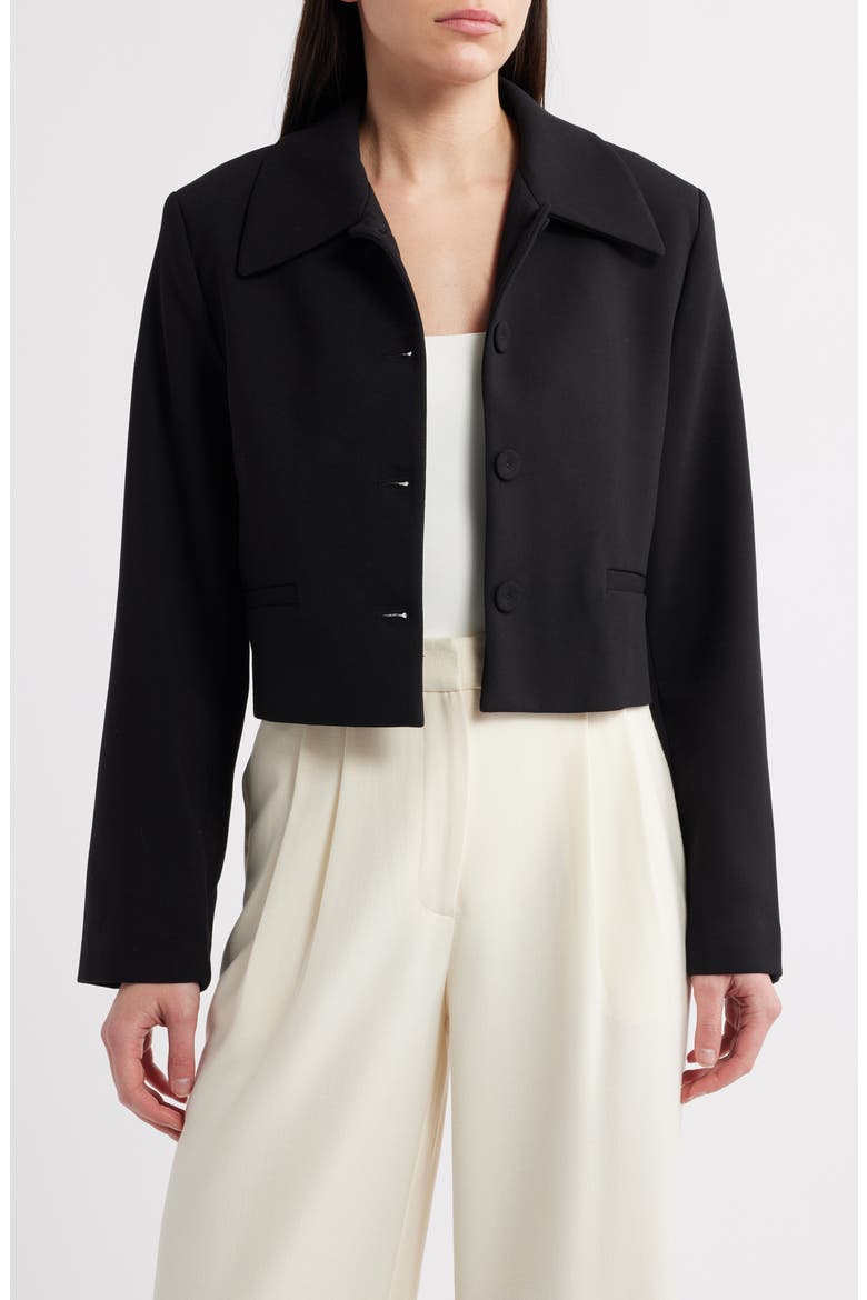 Cagliari Crop Jacket, Main, color, BLACK