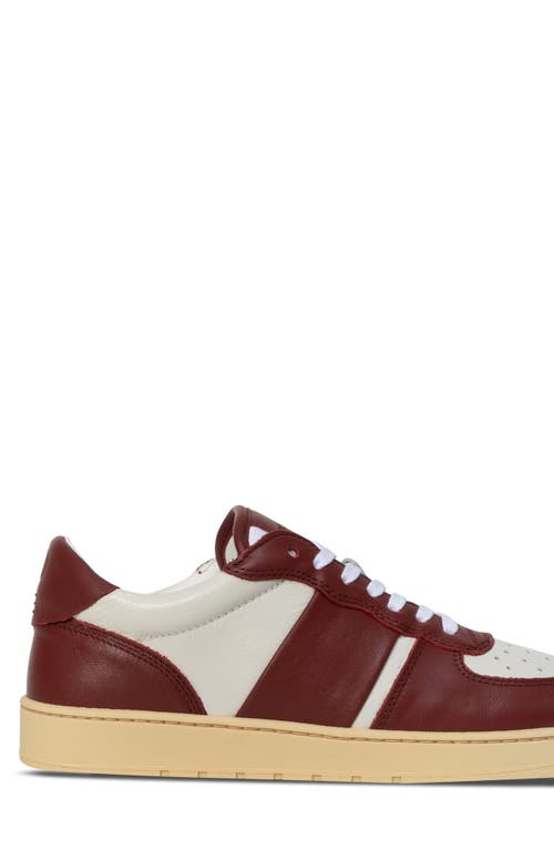 Collegium Pillar Destroyer Low Top Sneaker In Burgundy