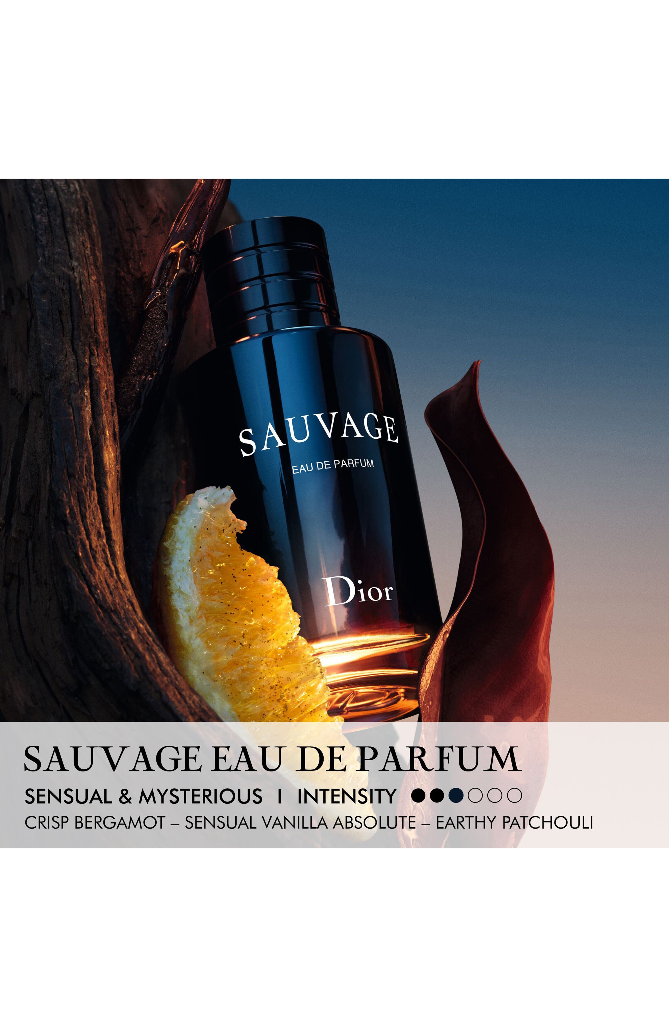 DIOR Sauvage Eau de Parfum (Men) | Nordstrom