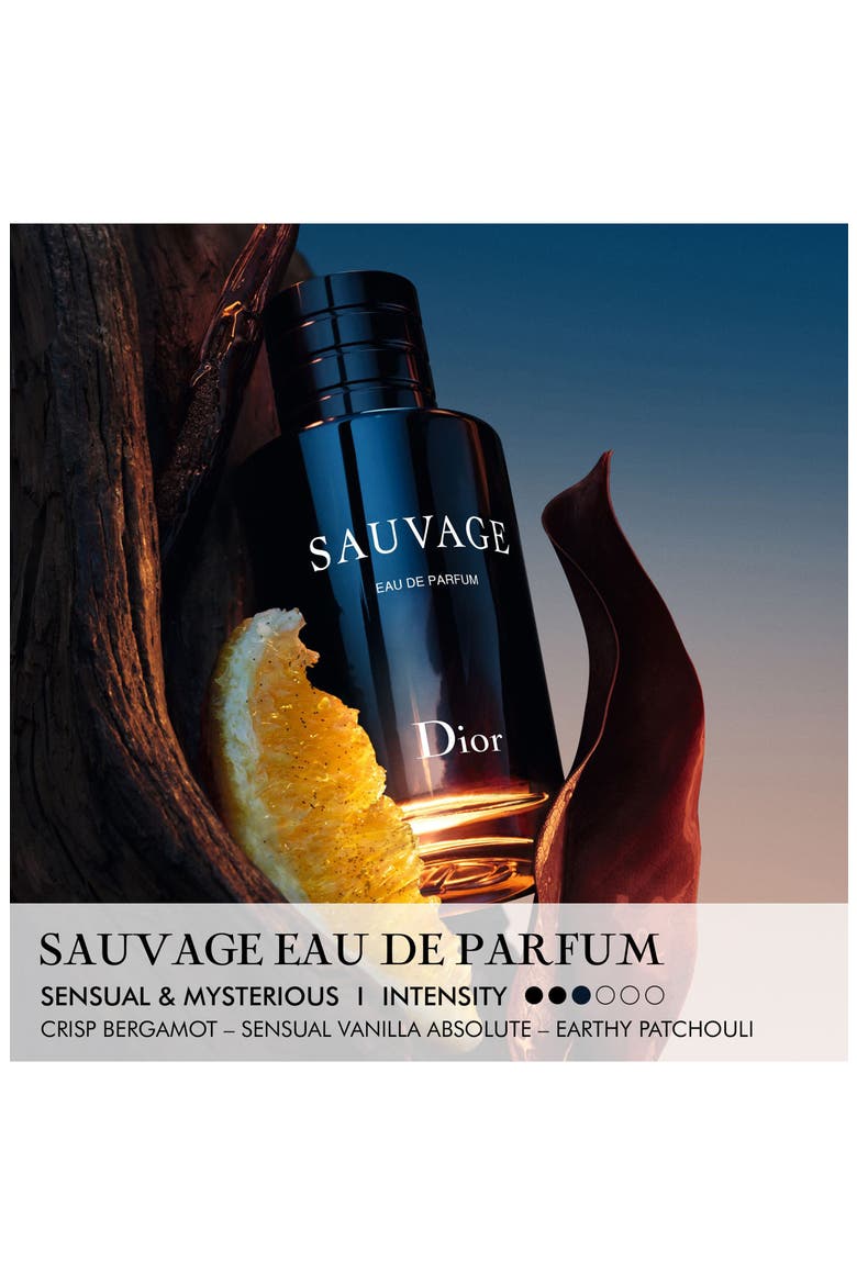 Sauvage Eau de Parfum, Alternate, color, REGULAR