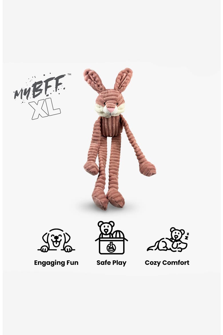 My BFF XL Plush Dog Toy, Alternate, color, Bramble the Bunny