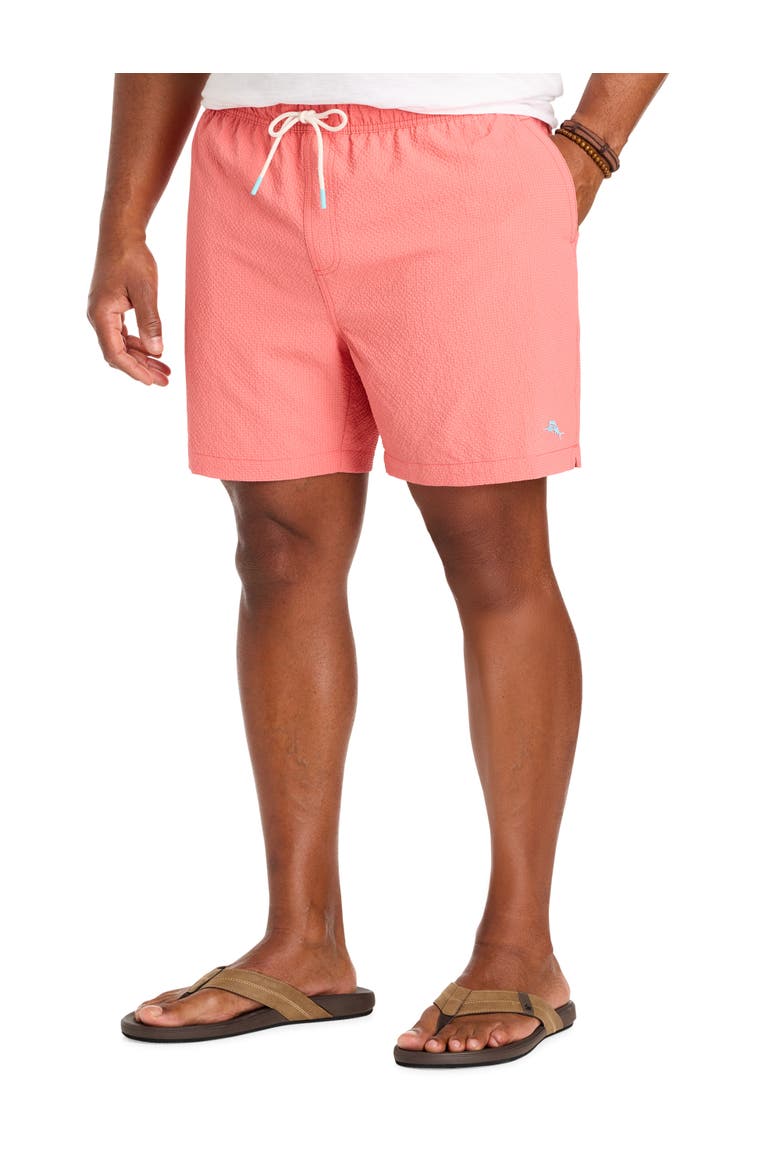 Big & Tall Naples Shore Swim Trunks, Main, color, TUTTI FRUTTI