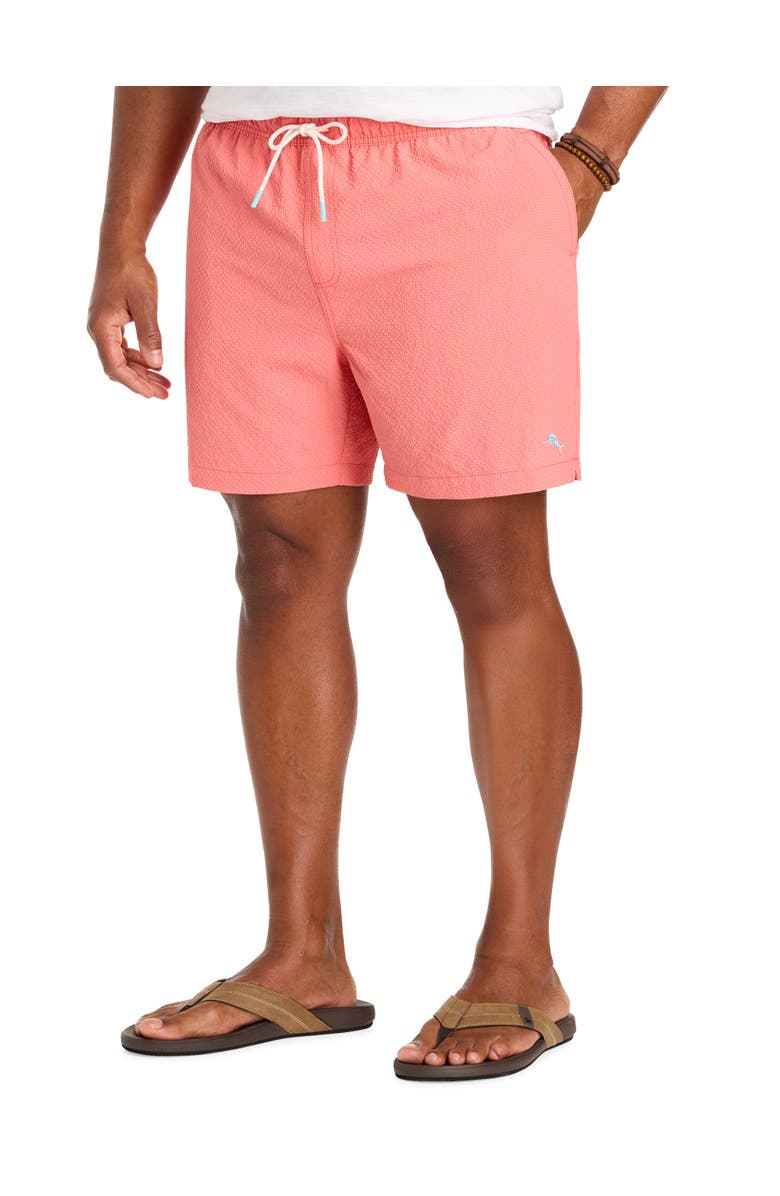 Tommy Bahama Big & Tall Naples Shore Swim Trunks, Main, color, Tutti Frutti