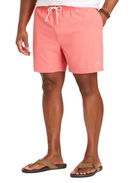 Big & Tall Naples Shore Swim Trunks