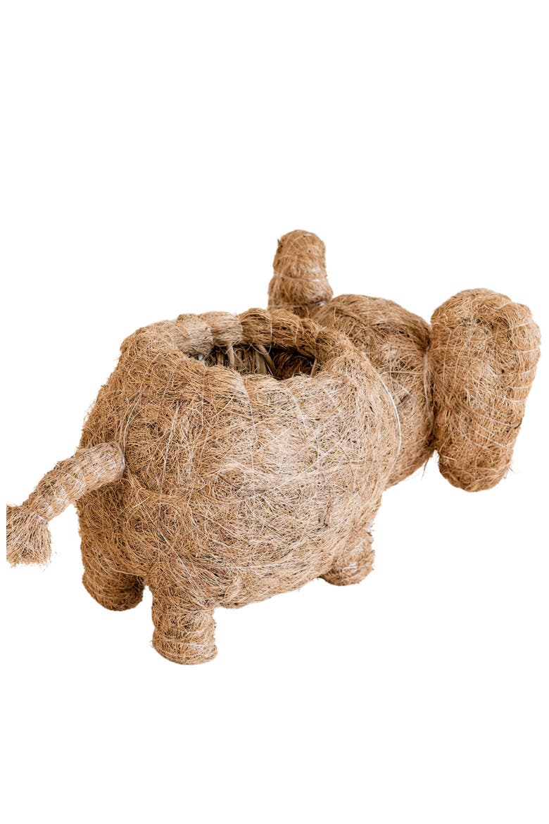Safari Animal Coco Coir Planters, Alternate, color, Brown