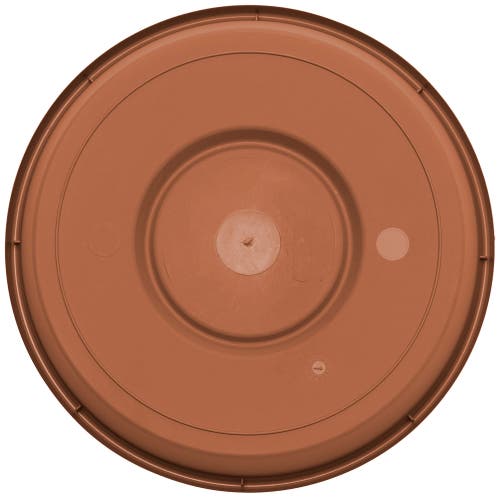 Bloem Terra 20 Inch Resin Saucer In Brown