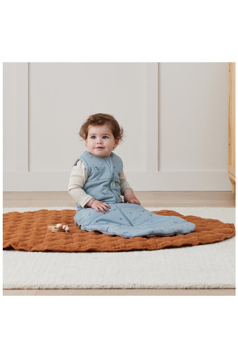 2.5 TOG Organic Jersey Wearable Blanket, Alternate, color, DRAGONFLIES
