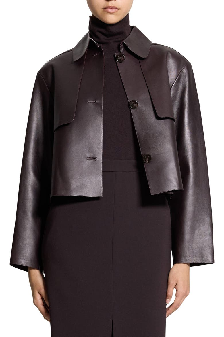 Crop Leather Jacket, Alternate, color, CACAO - DAJ