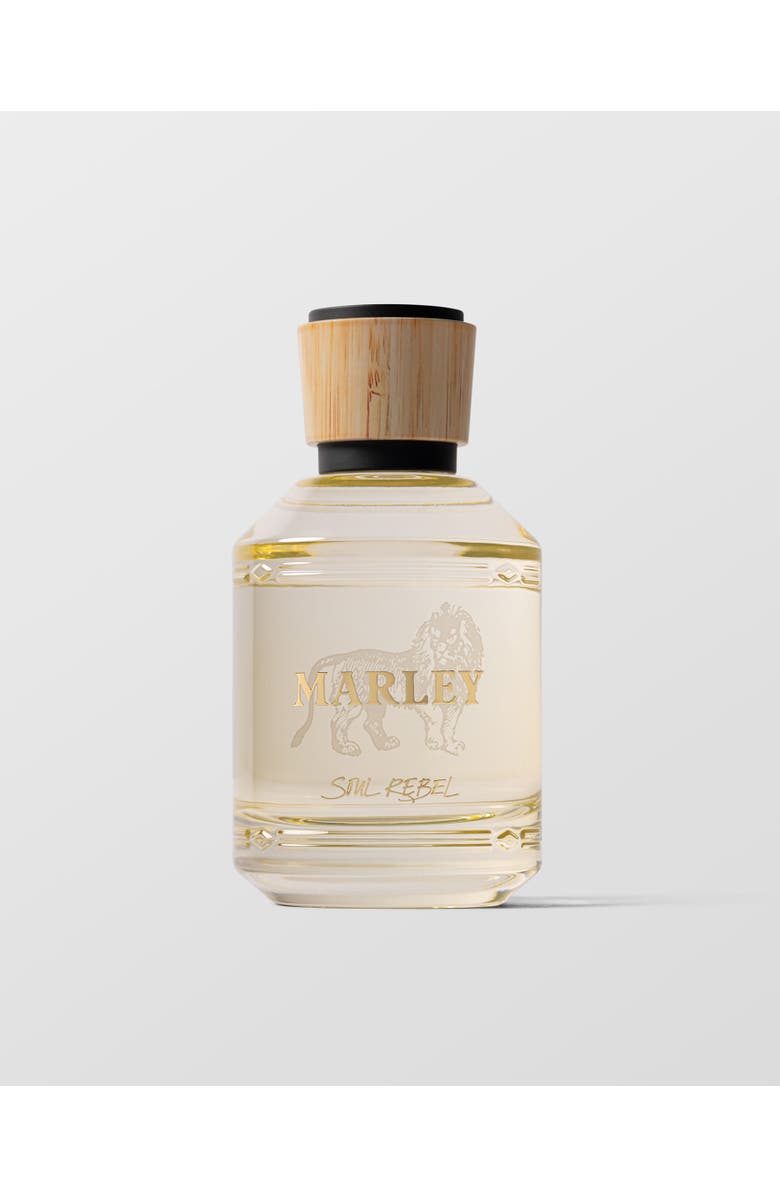 Marley Fragrance Soul Rebel Eau de Parfum, Main, color, 100Ml