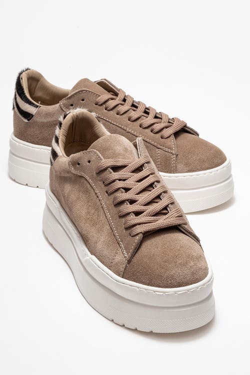 Forever & Always Shoes Anabel Leather Platform Sneakers In Multi