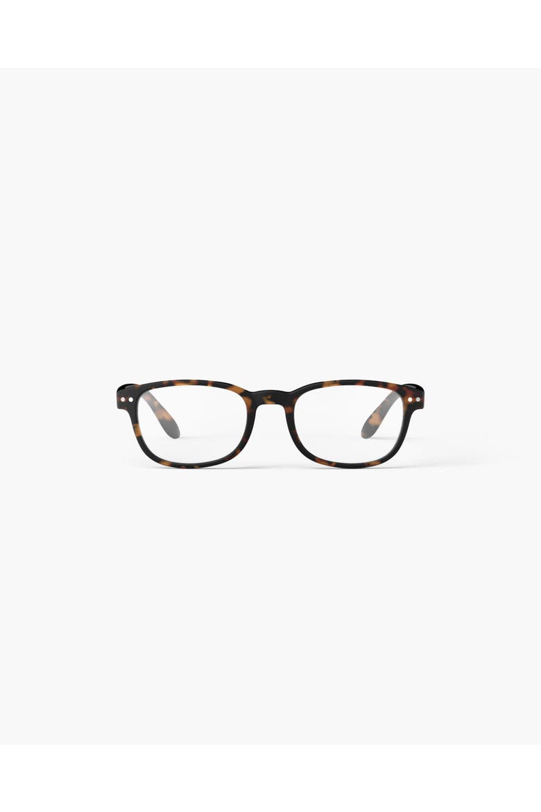 #B Tortoise, Main, color, Tortoise