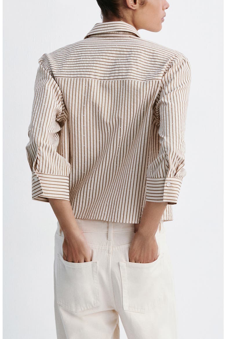 Rhinestone Striped Shirt, Alternate, color, BROWN