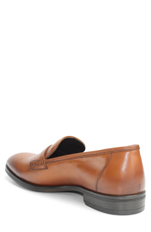 Vellapais Lucy Penny Loafer In Brown