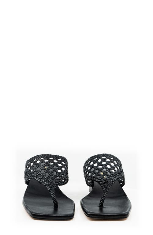 ANDREA GOMEZ ANDREA  GOMEZ BRENDA SANDAL