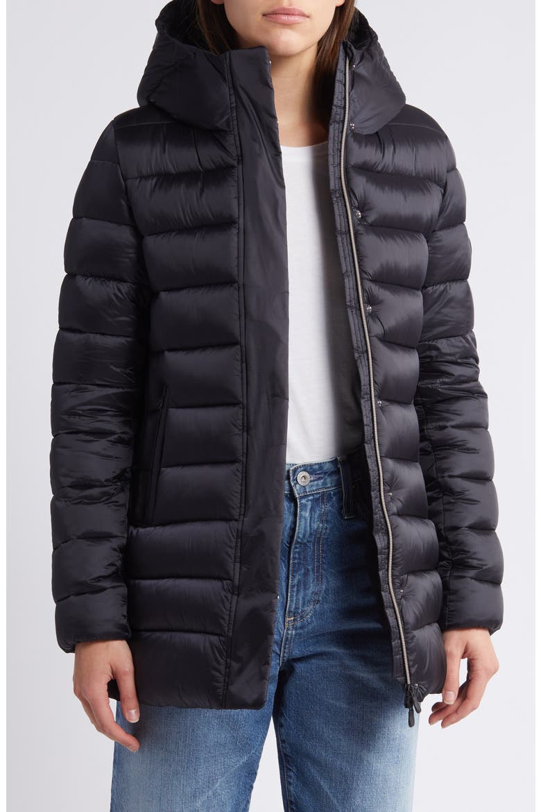 Danis Water Resistant Nylon Puffer Jacket, Alternate, color, BLACK
