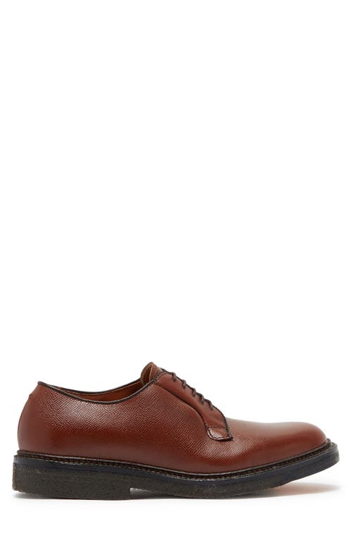 Alden Shoe Company Alden All Weather Plain Toe Derby In Brown