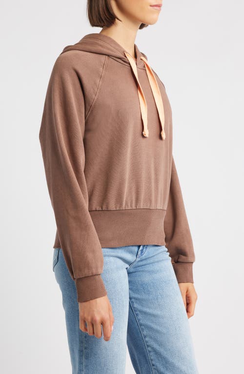 City Blues Crop Cotton Hoodie In Brown