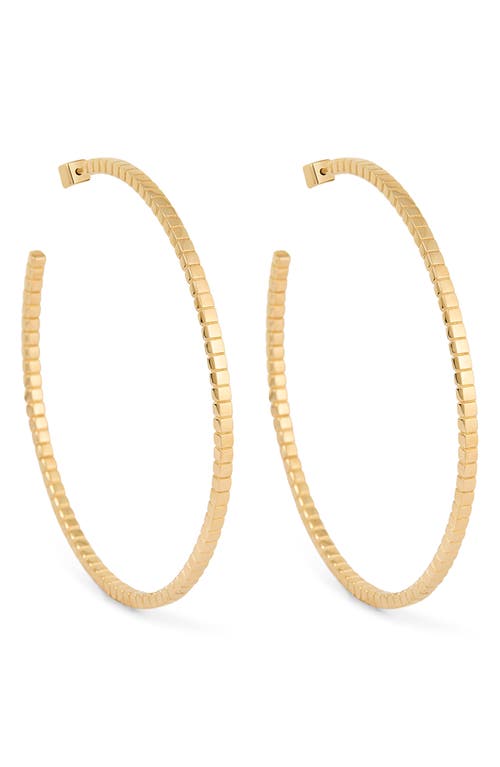 Ivi Los Angeles Large Signore Hoop Earrings In Yellow Gold