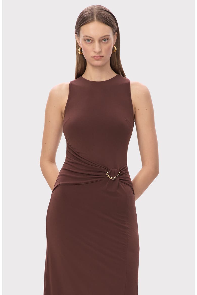 The Brooke Sleeveless Shift Dress, Alternate, color, COFFEE
