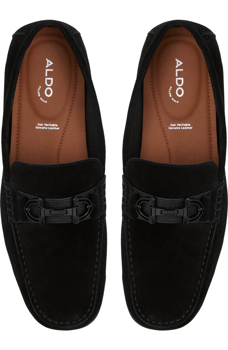 ALDO Scuderiia Loafer, Alternate, color,