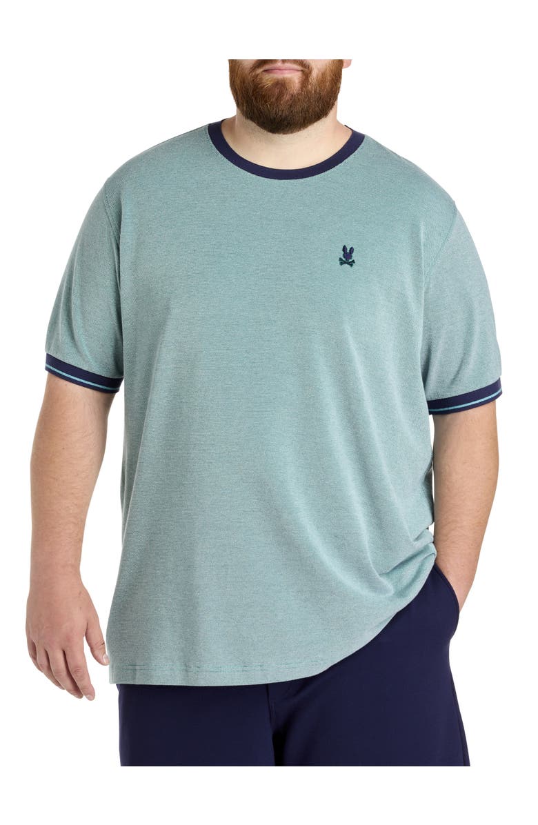 Psycho Bunny Big & Tall Quinton Textured T-Shirt, Main, color, Green Combo