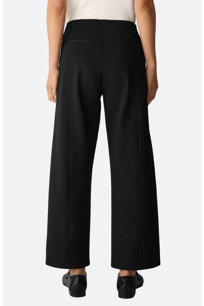 Wide Leg Ankle Pants, Alternate, color, BLACK