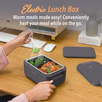 Heat Electric Lunch Box