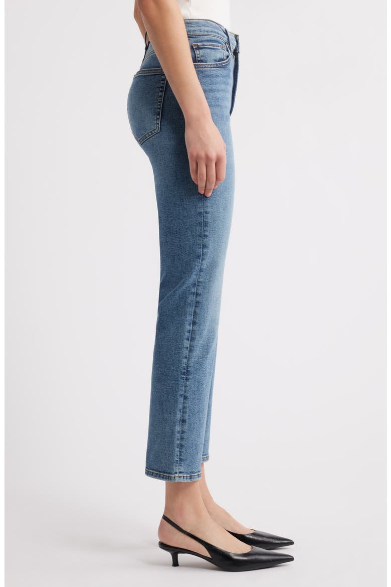 Le Sleek High Waist Ankle Straight Leg Jeans, Alternate, color, VICE