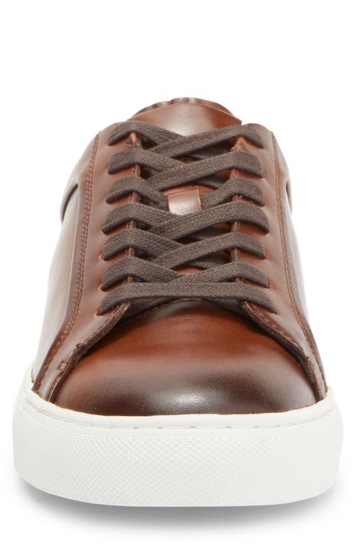 Vittorio Russo Newton Sneaker In Tan