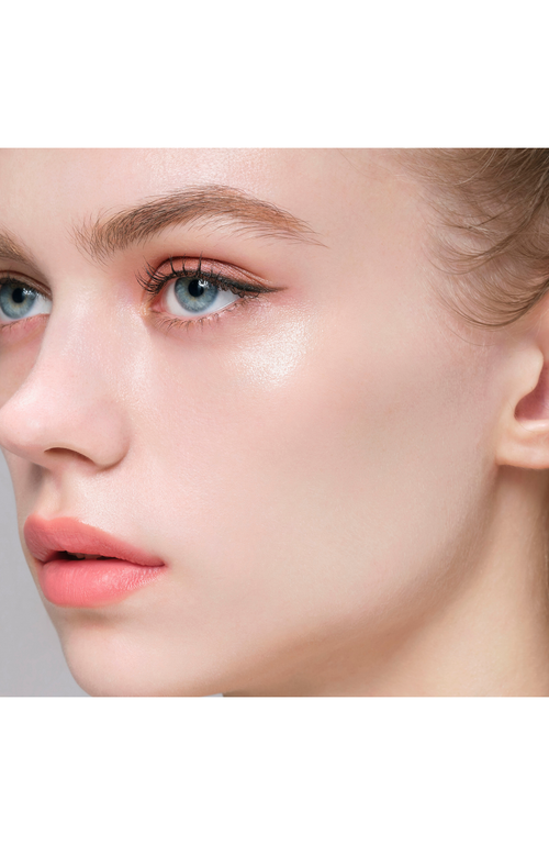 Anna Sui Gel Foundation Makeup Base In Brown